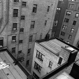 Bilder Robert Doisneau - Das Auge von Paris