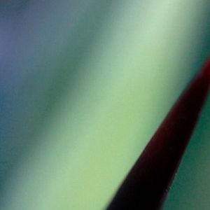 Bilder Still the Earth Moves