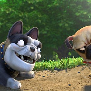 Bilder Operation Nussknacker 2: Voll auf die Nüsse