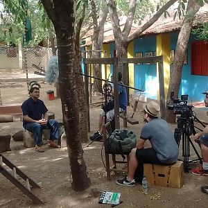 Bilder Nunca Me Sonharam