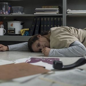 Bilder Dascha Polanco