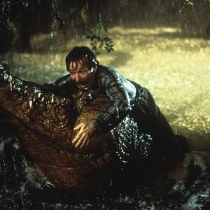 Bilder Robin Williams