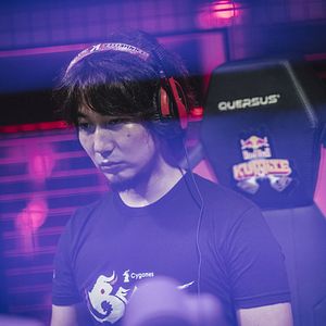 Bilder The Art of Street Fighting