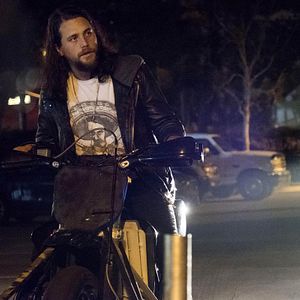 Bilder Animal Kingdom