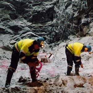 Bilder Return Of The Atom