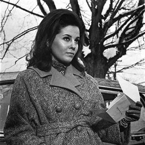 Bilder Das Tal der Puppen