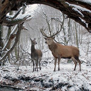 Bilder Körper und Seele