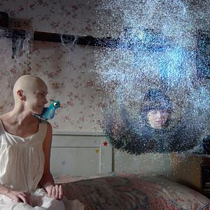 Bilder Hinter der blauen Tür - Wenn Träume wahr werden