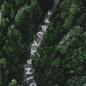 Bilder Ordinary Days