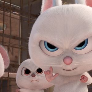 Bilder Operation Nussknacker 2: Voll auf die Nüsse