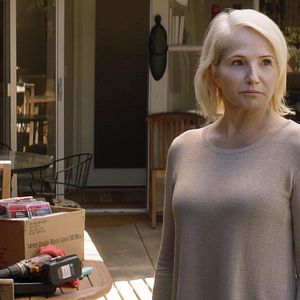 Bilder Animal Kingdom