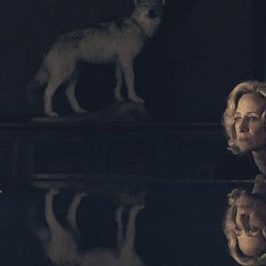 Bilder Paint It Black