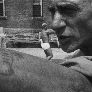 Bilder Titicut Follies