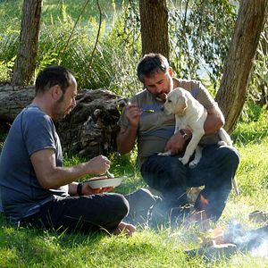 Bilder Stromaufwärts