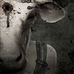 Bilder Leatherface - The Source Of Evil