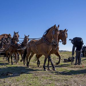 Bilder Road To Hell - Der Teufel von Nebraska