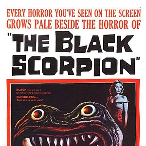 Bilder The Black Scorpion