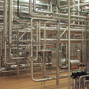 Bilder Das System Milch