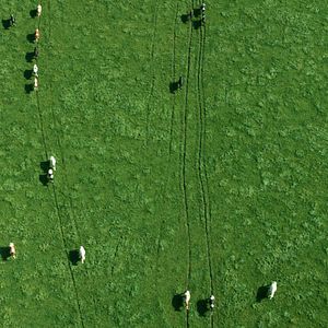 Bilder Das System Milch