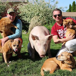 Bilder The End Of Meat - Eine Welt ohne Fleisch