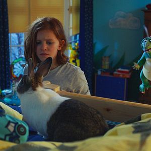 Bilder Hedda Erlebach