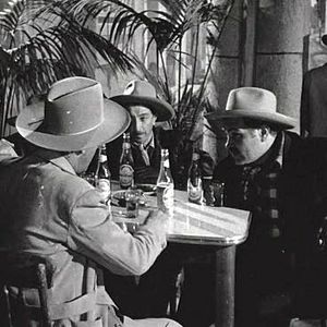 Bilder La Oveja Negra