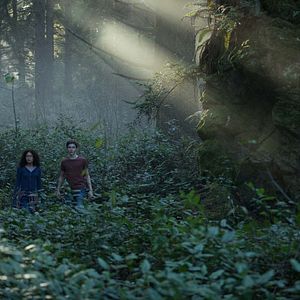 Bilder Levi Miller (II)