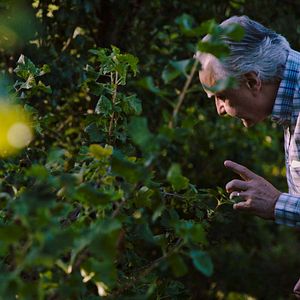 Bilder The Quest Of Alain Ducasse