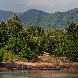 Bilder Bananas, Pancakes und der Lonely Planet