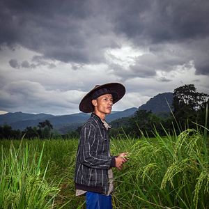 Bilder Bananas, Pancakes und der Lonely Planet