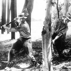 Bilder Unser tägliches Brot