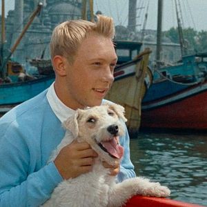 Bilder Tim und Struppi... und das Geheimnis des goldenen Vlieses