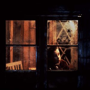 Bilder Mein Leben als Hund