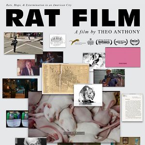 Bilder Rat Film