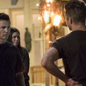 Bilder Animal Kingdom