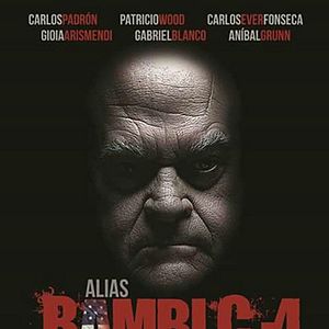 Bilder Alias Bambi C-4