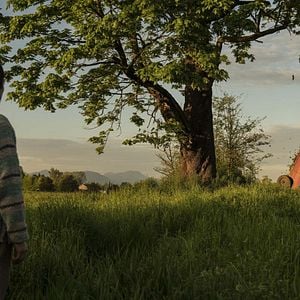 Bilder Dirk Gentlys holistische Detektei