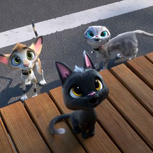 Bilder Rudolf, der schwarze Kater