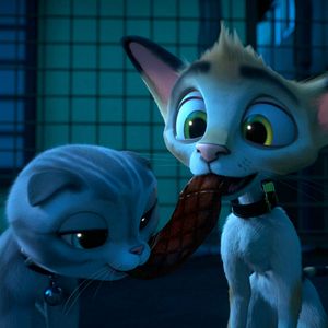 Bilder Rudolf, der schwarze Kater