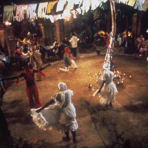 Bilder Die Schlange im Regenbogen