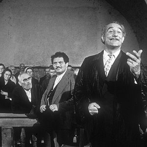 Bilder Under the Olive Tree