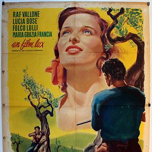 Bilder Under the Olive Tree