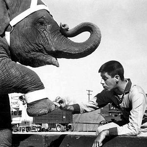 Bilder Rote Linie 7000