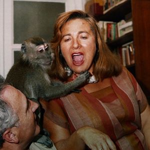 Bilder Muchos hijos, un mono y un castillo