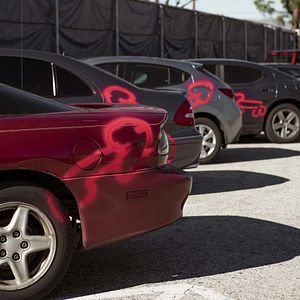 Bilder American Vandal