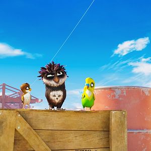 Bilder Überflieger - Kleine Vögel, großes Geklapper