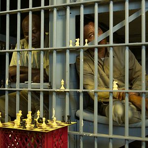 Bilder Life Of A King