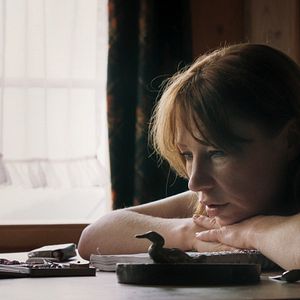 Bilder Animals - Stadt Land Tier