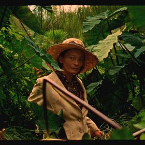 Bilder The Wild Boys