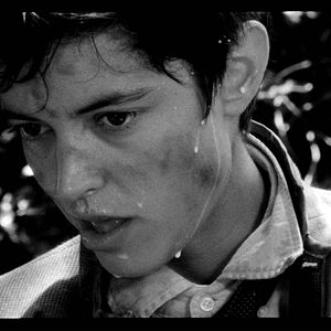 Bilder The Wild Boys